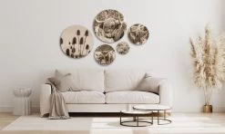 Muurcirkel Set Van 5 Sepia Hooglanders