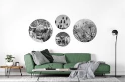 Muurcirkel Set Van 4 Natuur Schotse Hooglander