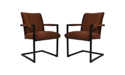 Eetkamerstoel Boston - Bruin - Velours/metaal - Set Van 2