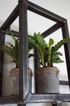 Wandkastje Metaal (3 Vakken) Doutzen -Meubelserie Winkel 304ecbf197804170c0229ad11b089dcf07d4bef860c131ee18eef9d65e3236b6