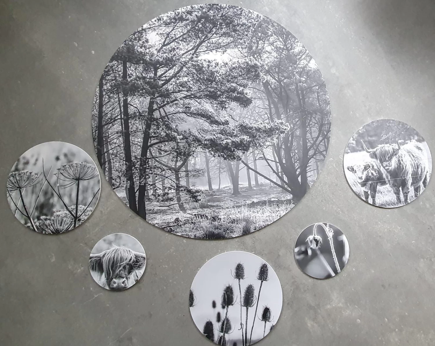 Muurcirkel Set Bos 3 Muurcirkel Set Bos