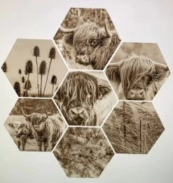 Hexagon Muurcirkel Set Natuur