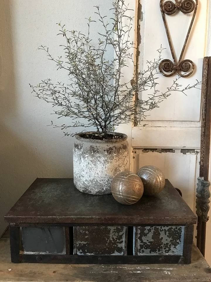 Indiaas Cakeblik 3 Indiaas Cakeblik