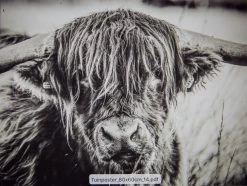 Tuinposter Natuur 14