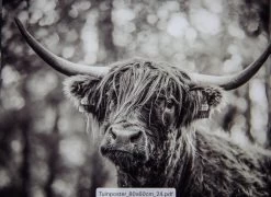 Tuinposter Natuur 24