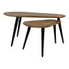 Salontafels Zurich - 95x52x46 - Naturel/zwart - Acaciahout/ijzer - Set Van 2