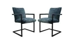 Eetkamerstoel Boston - Niagara - Velours/metaal - Set Van 2