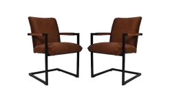 Eetkamerstoel Boston - Bruin - Velours/metaal - Set Van 2 -Meubelserie Winkel de kisten koning eetkamerstoel boston bruin velours metaal set van 2 1