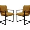 Eetkamerstoel Boston - Goud - Velours/metaal - Set Van 2