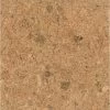 Wandkurk Tegel - Champagner - 60 X 30 Cm - 3mm Dik - Per M²