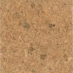 Wandkurk Tegel - Champagner - 60 X 30 Cm - 3mm Dik - Per M²