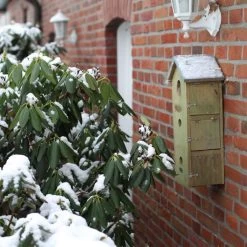 Mussenflat Hoog -Meubelserie Winkel nkm 41