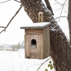 Nestkast Spreeuw 7 Nestkast Spreeuw -Meubelserie Winkel nks 42