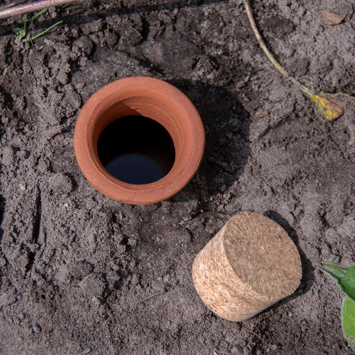 Watergevende Pot Olla S 5 Watergevende Pot Olla S - Afbeelding 3